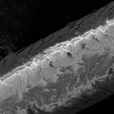 Волосы под микроскопом: секреты восстановления от Demi Cosmetics