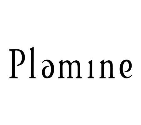 PLAMINE (Производитель - HAN BROTHERS CO., LTD.) PLAMINE (Производитель - HAN BROTHERS CO., LTD.)