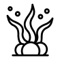 Корень ламинарии (йод)