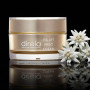 Лифтинг-крем с мезо-эффектом DIREIA Fix Lift Meso Cream, 30 gr.