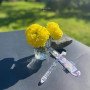 Іонна зубна щітка APAGARD 'Crystal' Toothbrush 