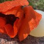 Натуральное мыло с высоким содержанием масла Камелии – Goto Camellia Oil Soap, 100 гр.