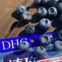Комплекс на основі екстракту чорниці "Haste Blueberry" DHC