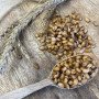 Наттокіназа Kobayashi EPA/DHA, Японія, 2 000 FU