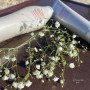 Шампунь Shiseido ADENOVITAL от выпадения волос 