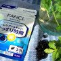 Комплекс Fancl "На добраніч" на основі валеріани та габи для природного сну і легкого пробудження 