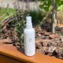 Лосьйон-термозахист для волосся HAHONICO Levuli Hair Lotion 