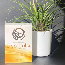 Липосомальный коллаген LIPO COLLA, 30 стиков, Япония