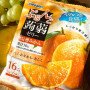 Желе из конняку ORIHIRO Purunto Konnyaku Jelly Pouch с натуральным фруктовым соком