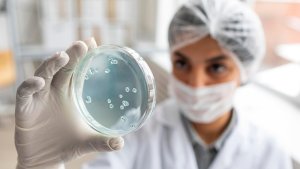 Ученый в халате и маске изучает штаммы бактерий на специальном стекле