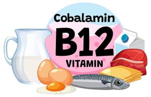 Ілюстрація: напис &laquo;вітамін В12&raquo; в оточенні продуктів харчування тваринного походження, які багаті кобаламіном