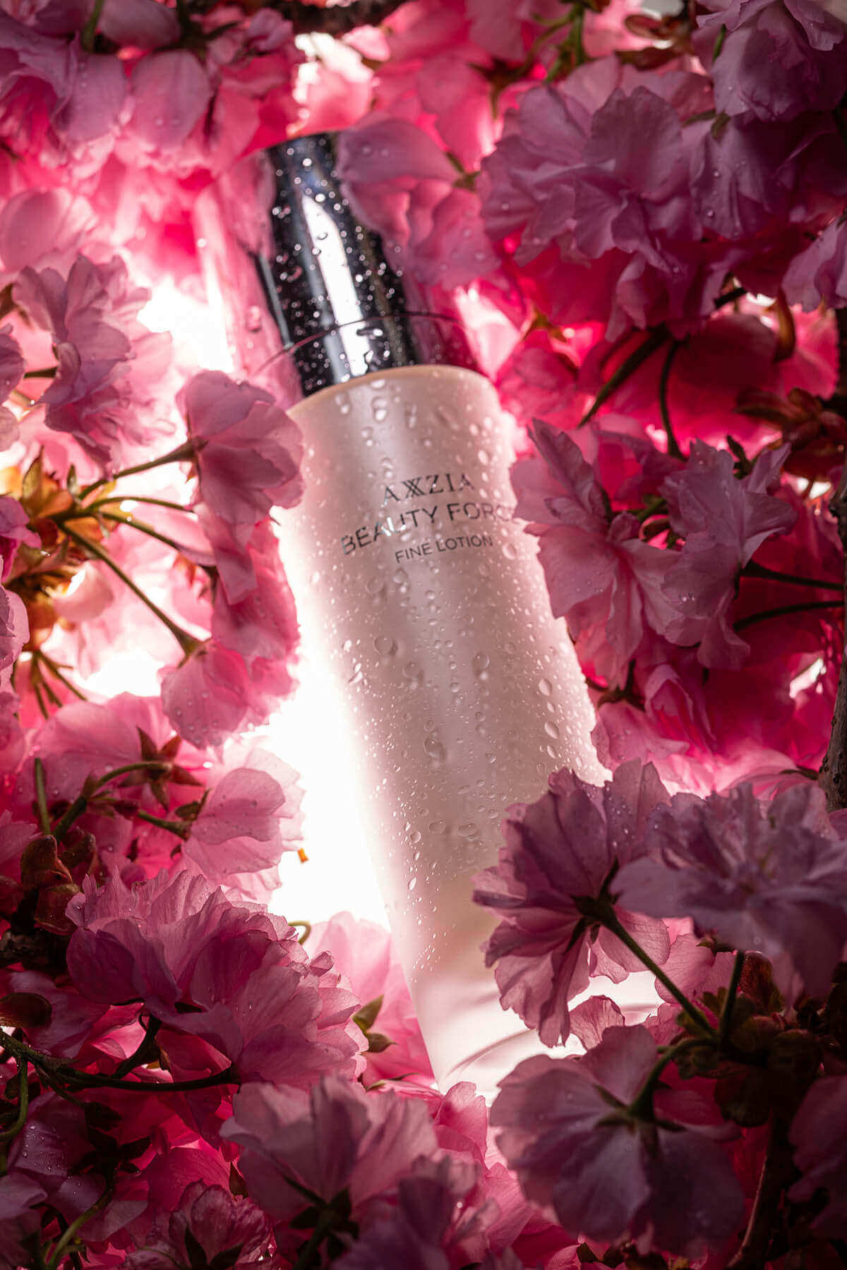 Двошаровий пептидний лосьйон AXXZIA Beauty Force Fine Lotion з крапельками води на флаконі в справжніх гілках квітучої Сакури