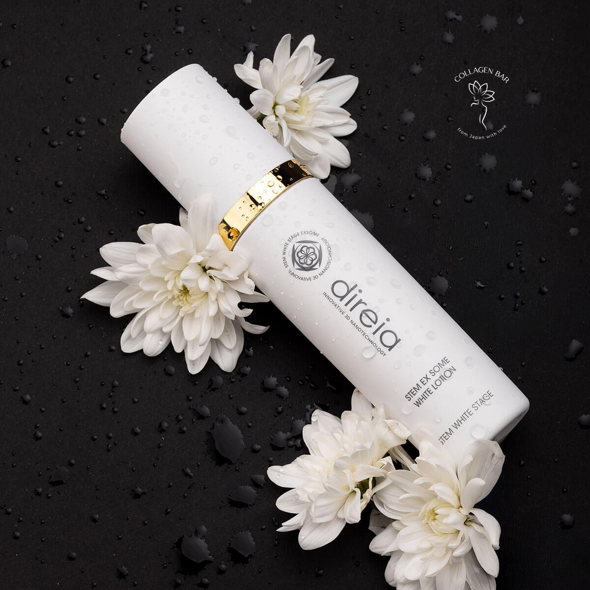лосьйон DIREIA Stem EX Some White Lotion горизонтально на чорному тлі з білими хризантемами. Вид зверху.