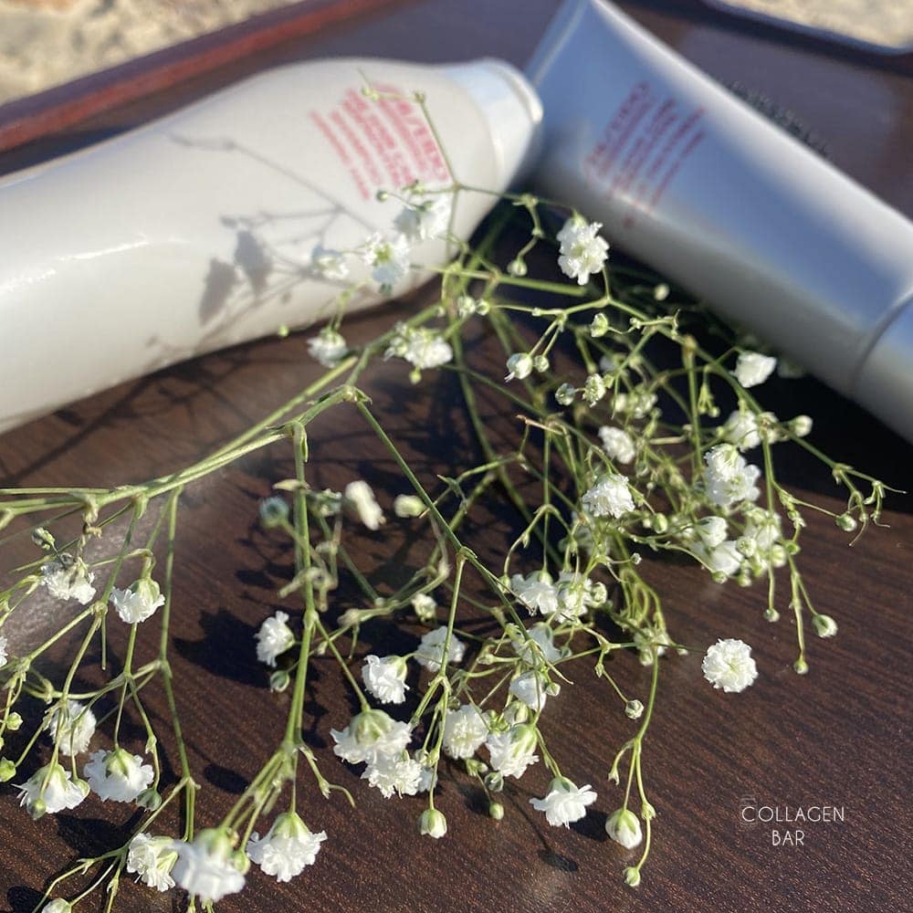 Шампунь и бальзам для кожи головы SHISEIDO ADENOVITAL на темно-коричневой деревянной подставке с веточками белых маленьких цветов